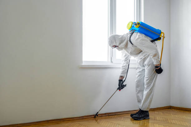 Emergency Pest Control in Big Sandy, TX